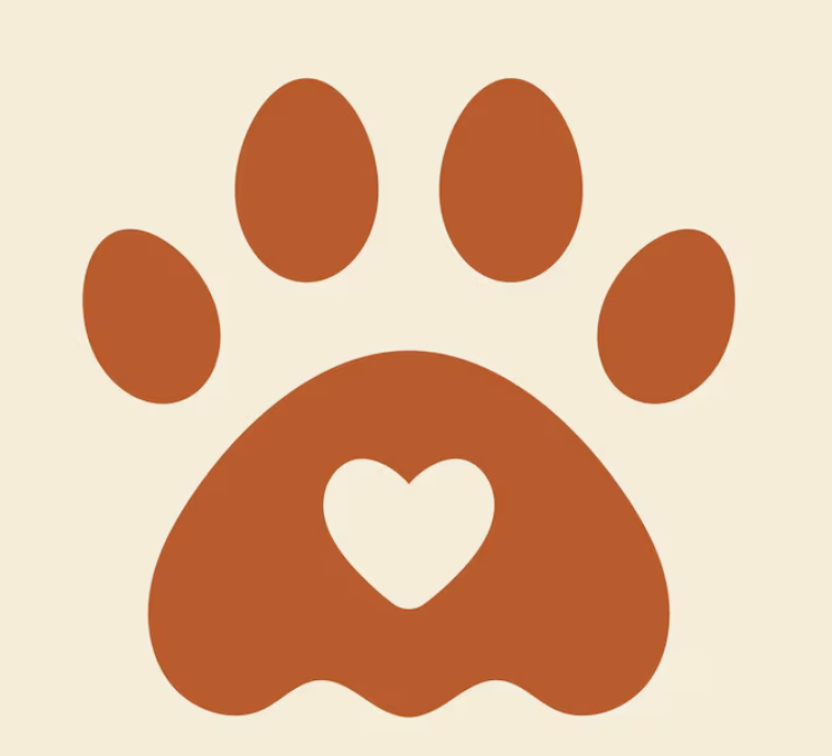 husdjur fritid hund katt djur butik zoo